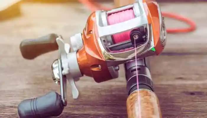 The Ultimate Guide to Fishing Rods Casting vs Spinning Rods Showdown