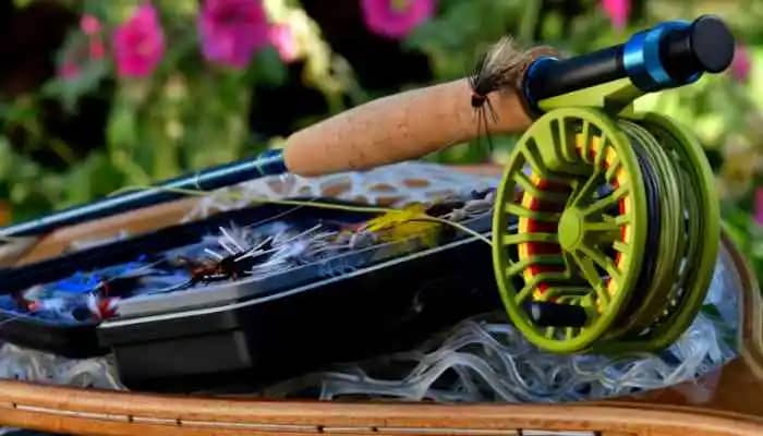 Top 10 Must-Have Fishing Gear for Beginners